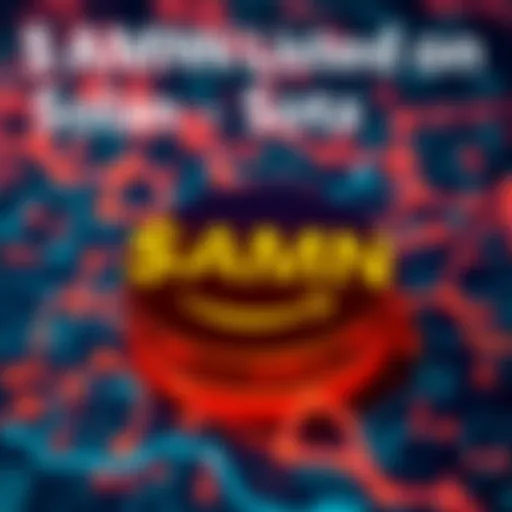A graphic showing the $AMZN cryptocurrency logo overlaid on the Solana blockchain background, signifying its new listing.