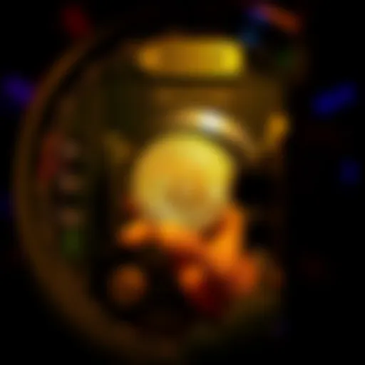 A person storing Bitcoin assets in a secure vault, illustrating self custody of cryptocurrency