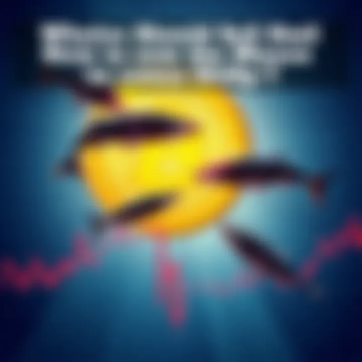 A graphic showing a downward trend in Bitcoin prices with whales symbolically depicted as large fish swimming away from a falling chart