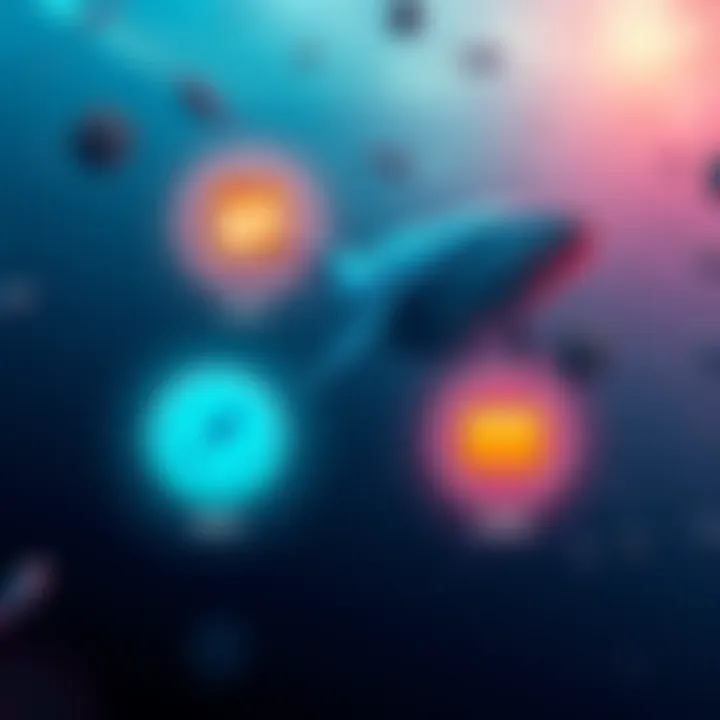 A graphic showing four tools used to monitor whale movements in cryptocurrency, with icons for CEX data, DeFi, DEX, and wallet alerts.