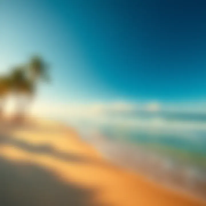 A stunning beach view in El Salvador, featuring golden sand, palm trees, and clear blue water, perfect for travelers to enjoy.