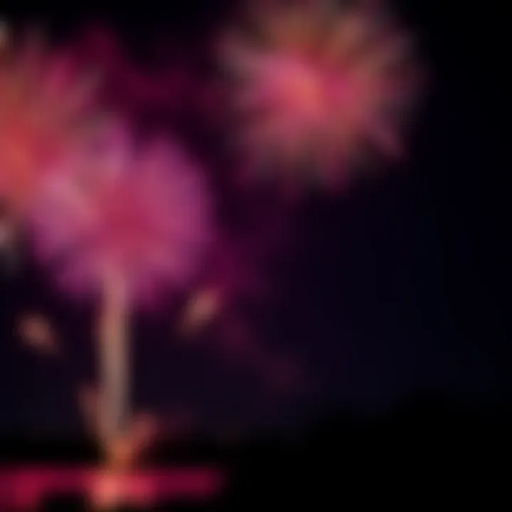 Fireworks Celebrating Independence Day A colorful fireworks display lighting up the night sky, symbolizing freedom and new beginnings