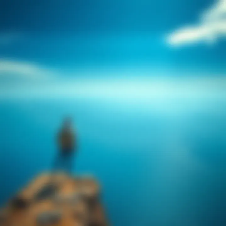 A person looking out over a vast ocean from a high cliff, symbolizing choices and risks in life