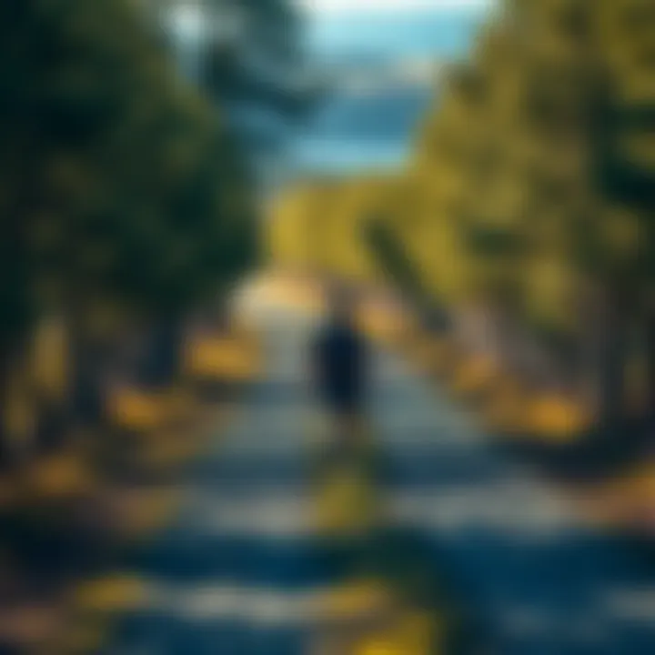 Person on a path A person walking along a scenic path surrounded by trees, representing a journey of self-discovery and growth.