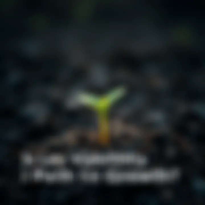 Plant growing from soil A small green plant sprouting from dark soil, symbolizing growth and potential