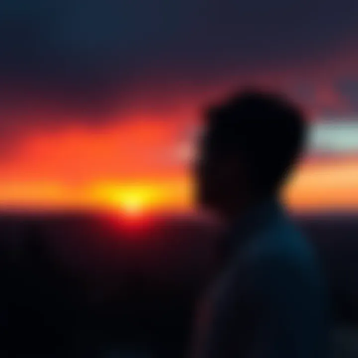 A person looking thoughtfully at a sunset, symbolizing contemplation of past experiences and lessons learned.
