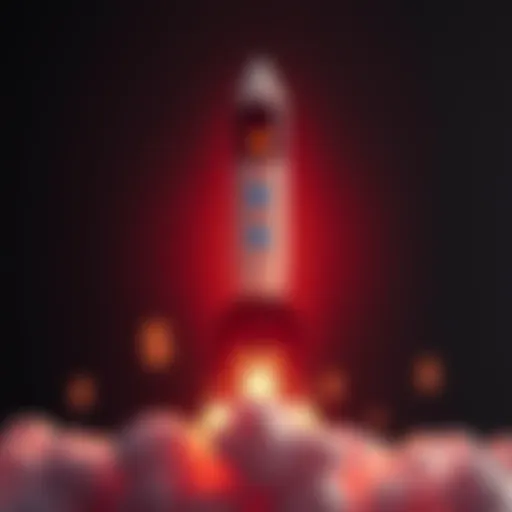 A graphic showing a rocket representing SpaceX with investment symbols and dollar signs, indicating an IPO opportunity.