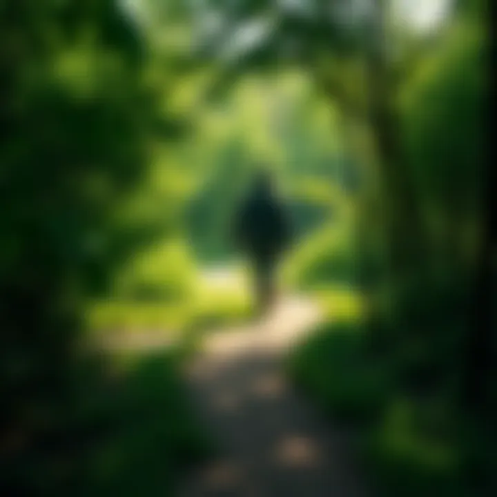 A person walking on a winding path through a lush green forest, symbolizing individuality and personal growth.