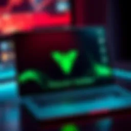 Laptop screen showing connection error with Wasabi Wallet logo