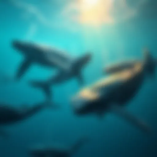A visual representation of whales symbolizing significant contributors in a game development context, showing growth and innovation in the Atlas community.